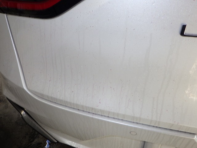 TOYOTA トヨタ レクサス LBXリラックス(6AA-MAYH10-AWXMB)